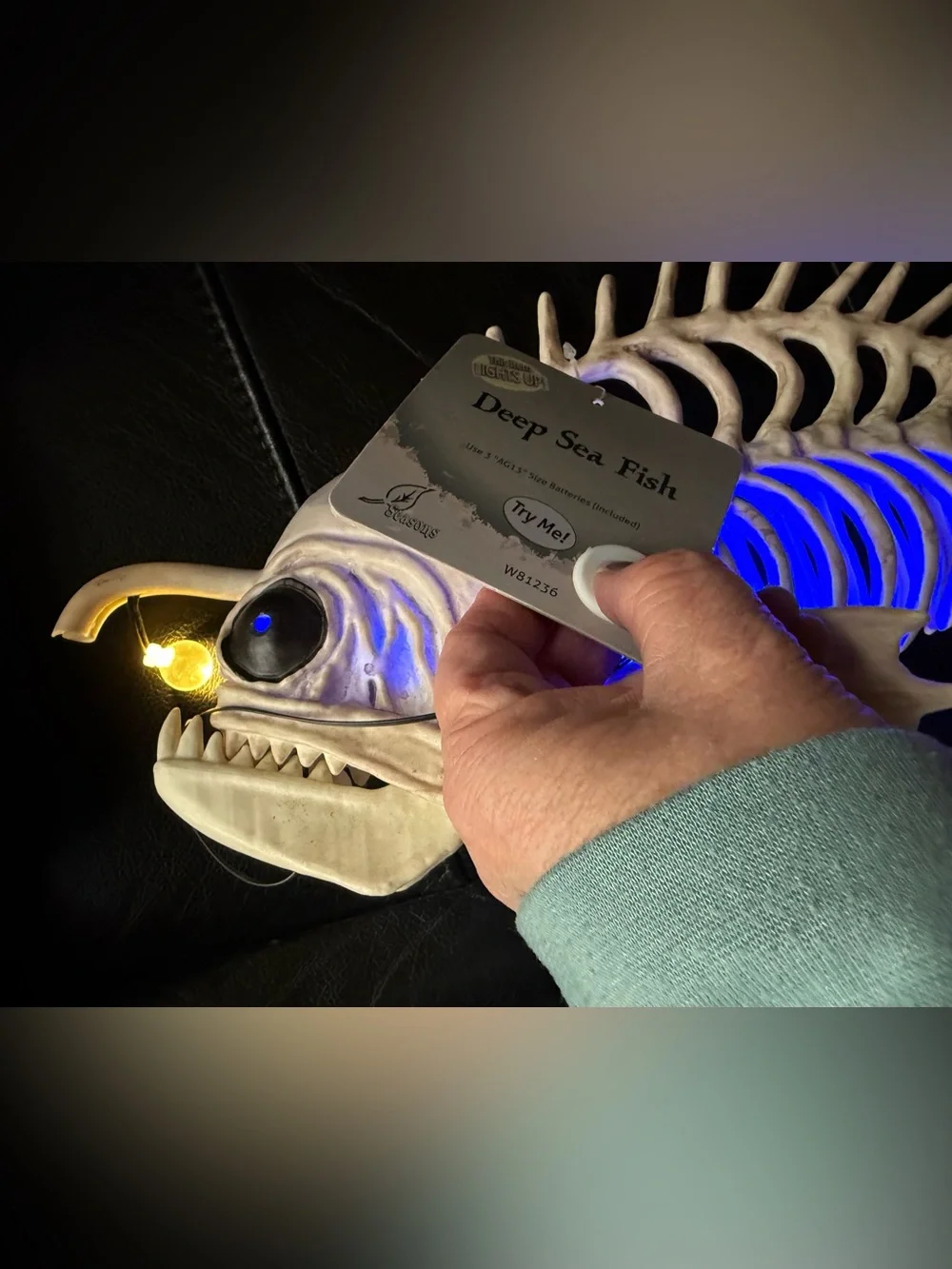 NWT Cream Fish Skeleton Décor